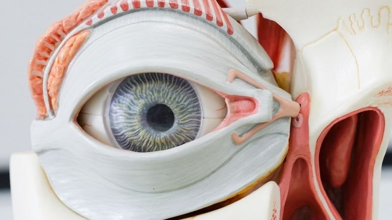 👁️💧 Dry Eye: Which Eye Drops Actually Work, Which Don’t — and When to See a Doctor